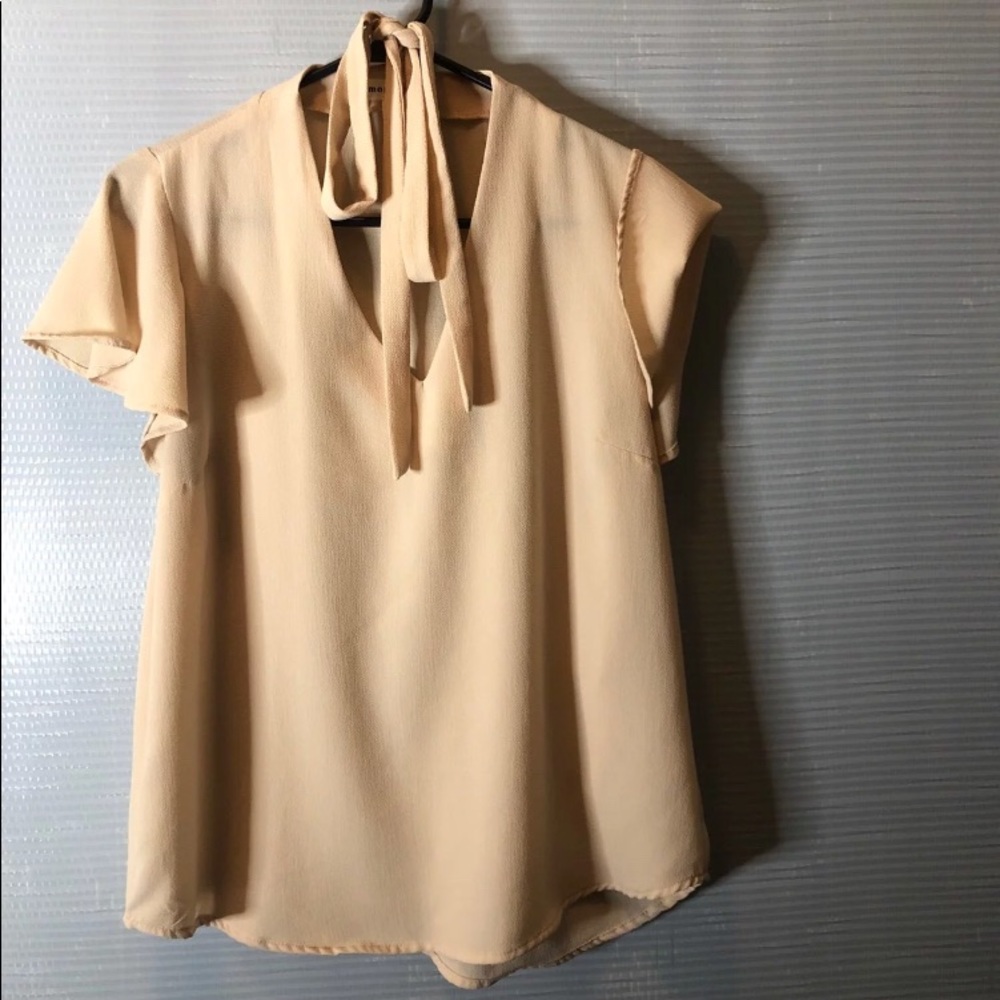 Blush blouse